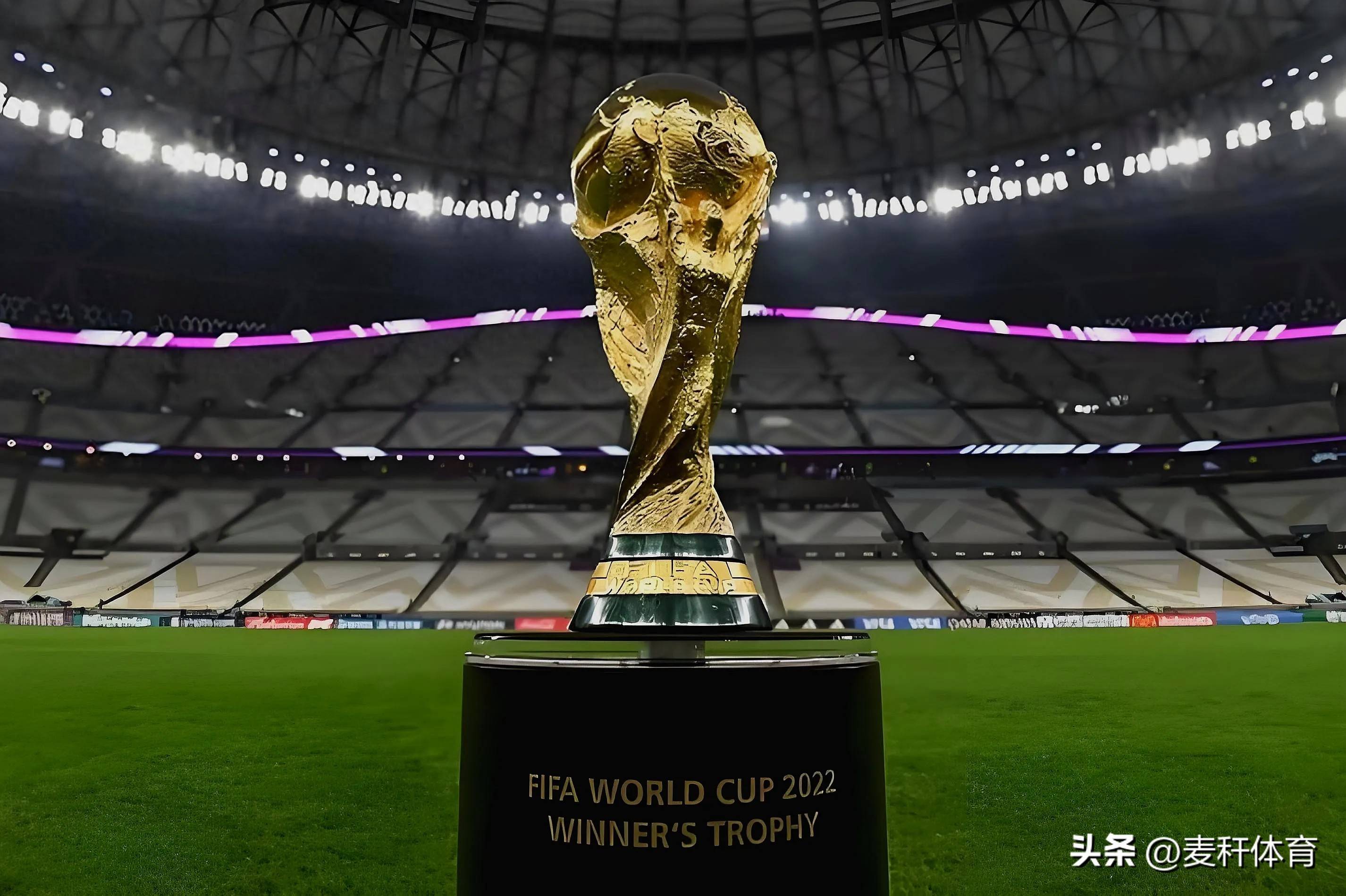 的奥斯卡 的奥斯卡